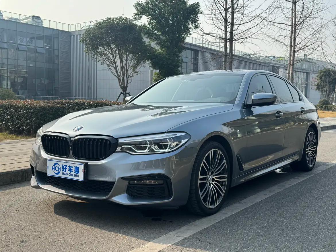BMW 5 Series 2019 г.
