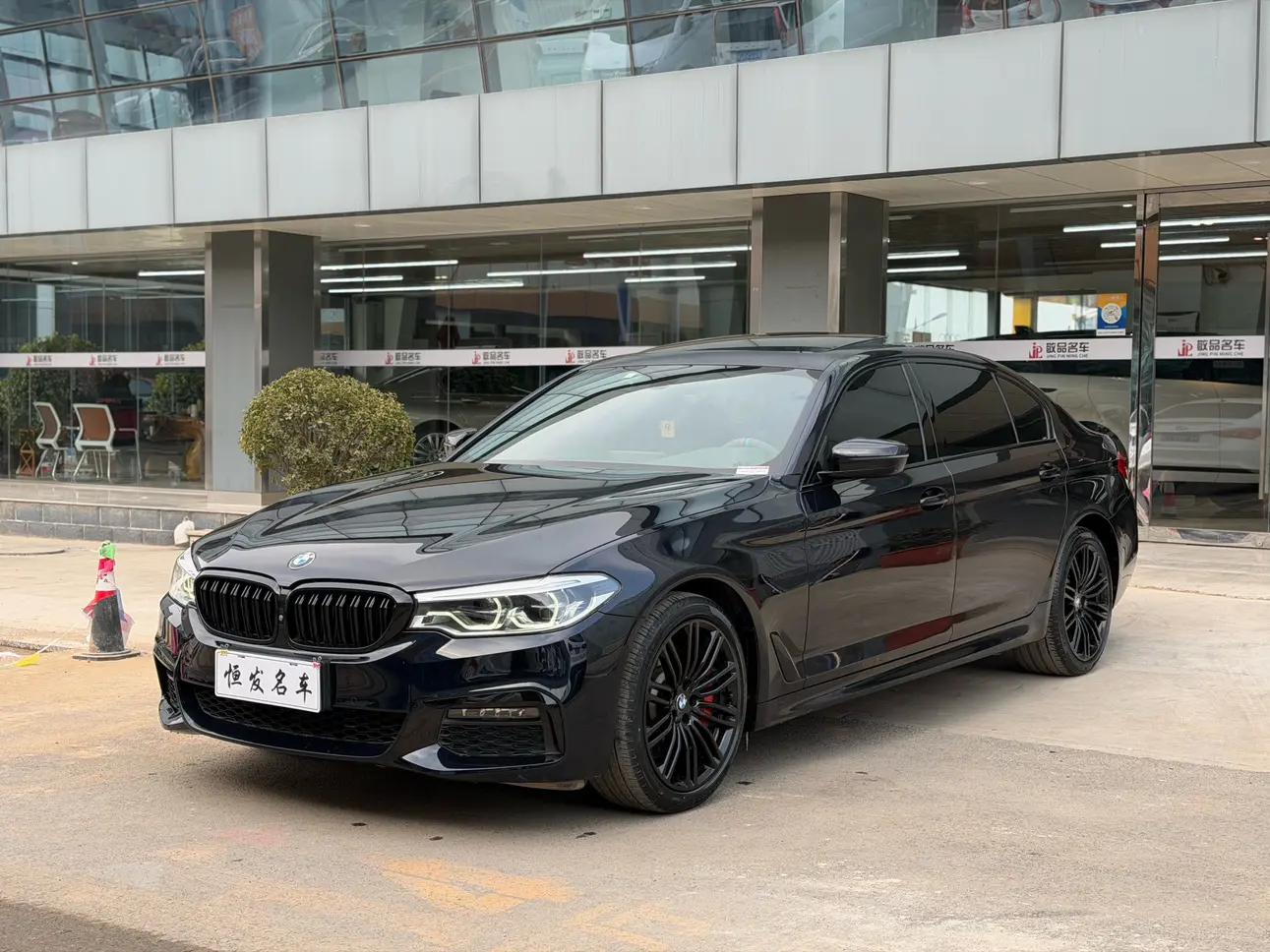 BMW 5 Series 2019 г.